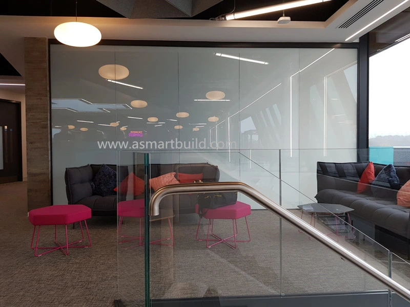 Best Quality Switchable Privacy Glass/ LCD Glass/Magic Glass/Dimming Glass for Partition Wall